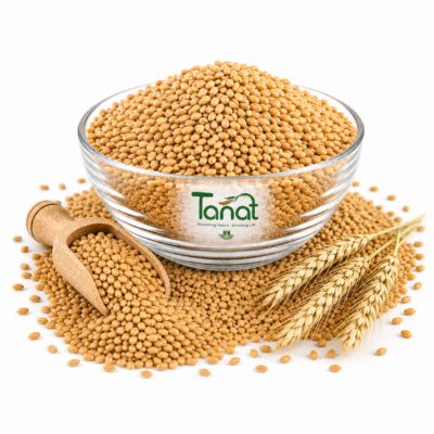 Wheat