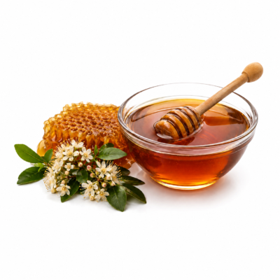 Forest Honey